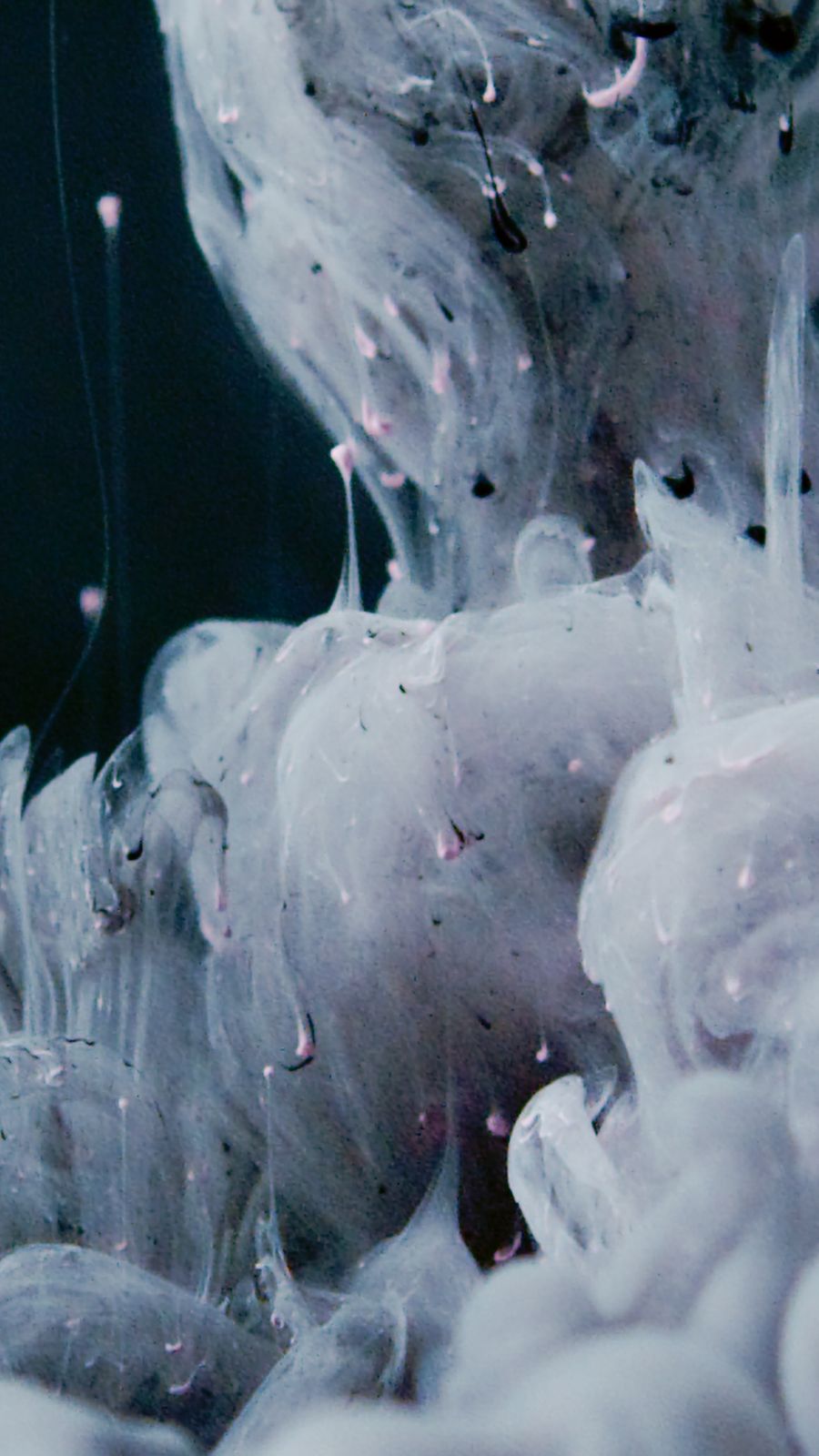 freebase e-liquid