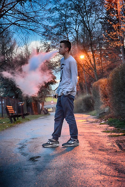 box mod
